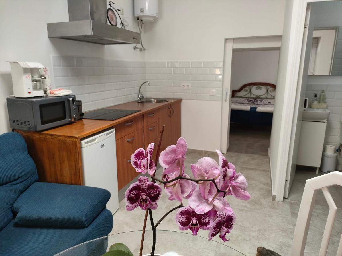 דירות פוארטו דל רוסריו Casa Alba 1 מראה חיצוני תמונה