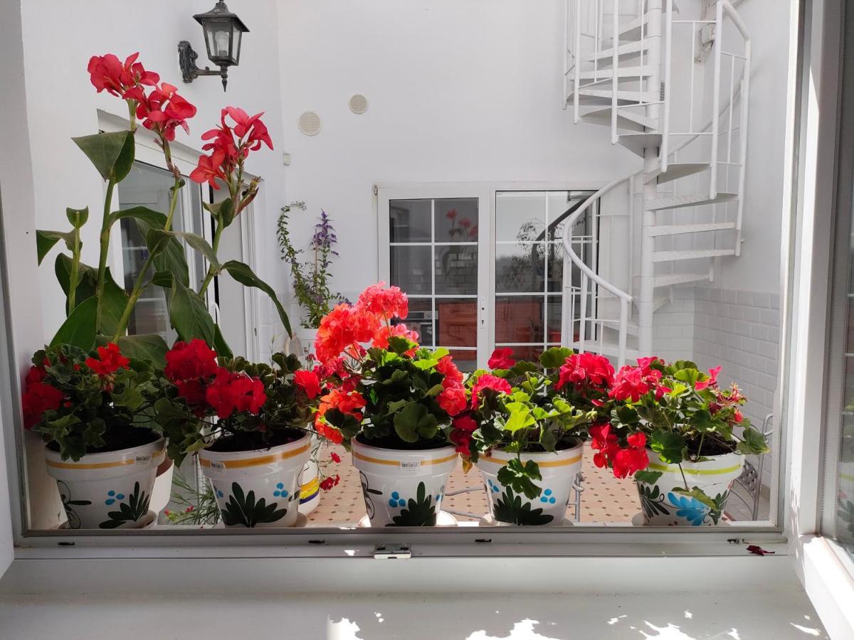 דירות פוארטו דל רוסריו Casa Alba 1 מראה חיצוני תמונה